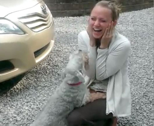 Casey the dog passes out from overwhelming joy 