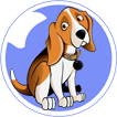 BestDogVideos.co.uk